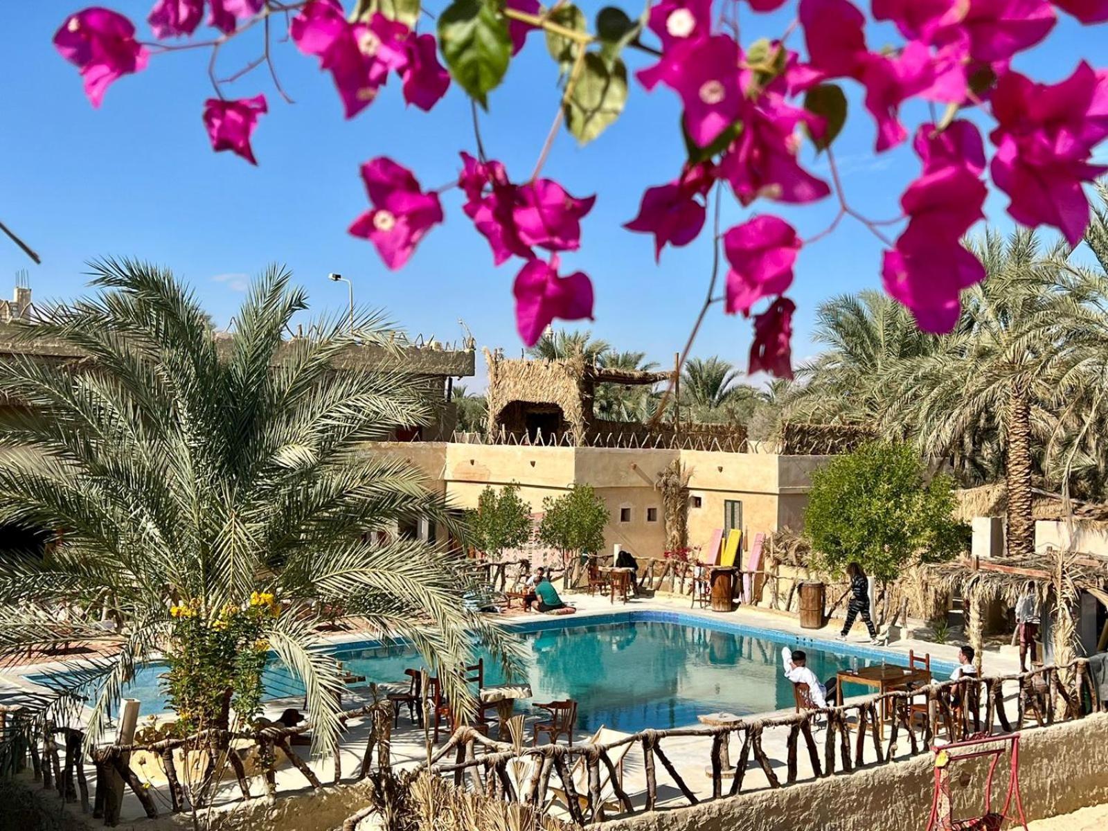 Aghurmi Siwa Ecolodge & Salt Cave Siwa Oasis Exterior photo